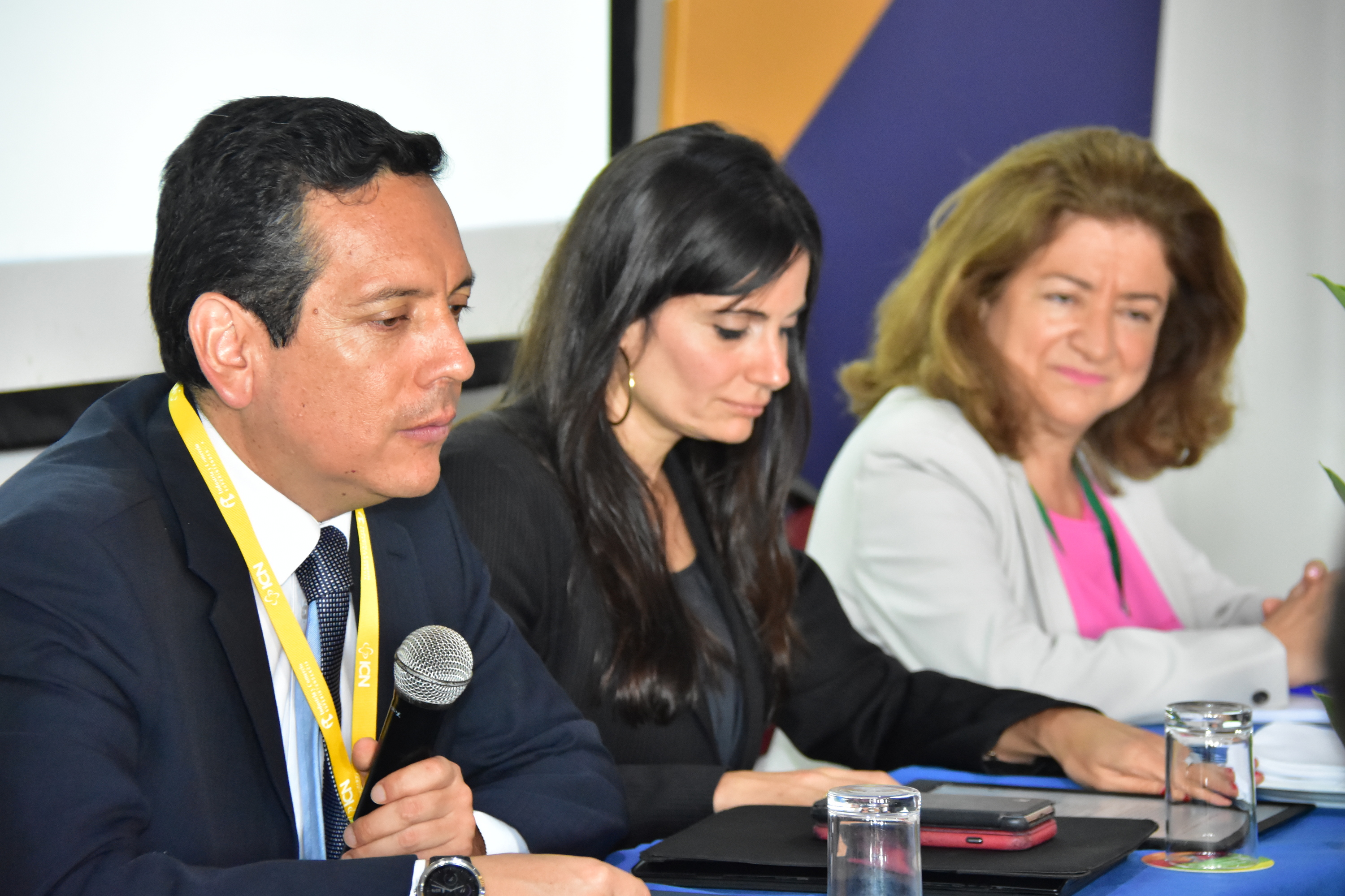 Deputy Superintendent for Competition Protection - JUAN PABLO HERRERA SA