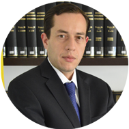 Mr. Brian McHugh, Member