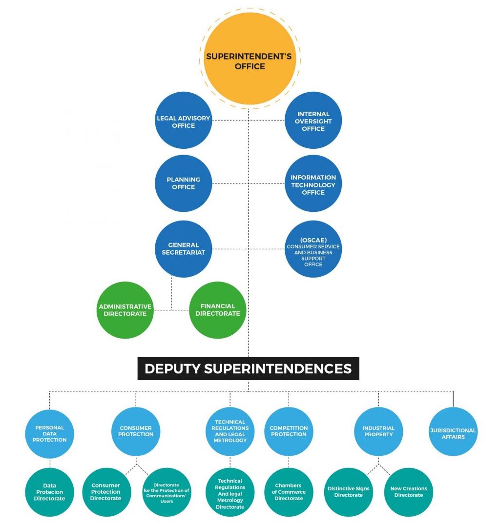 Fig. 1 Organisational chart of the SIC